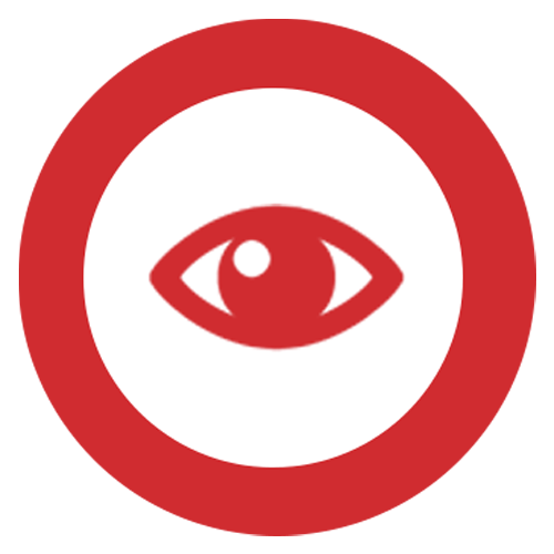 Best Choice Projects - Vision